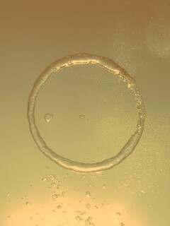 Кольцо из воды обои