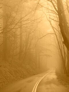 В туман обои