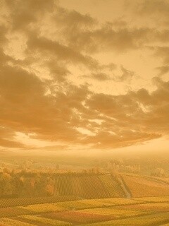 Обработанные земли в пригороде обои