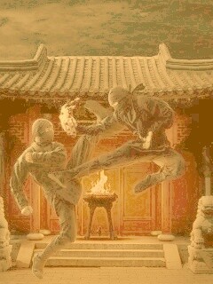 Бой ниндзя обои