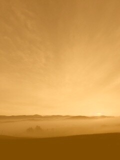 Утренний туман обои