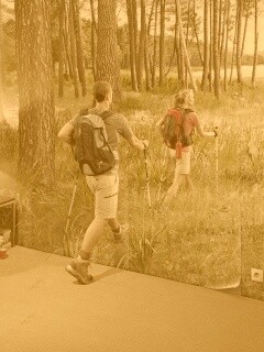 Реклама фотообоев обои