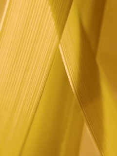 Травинки на свету обои