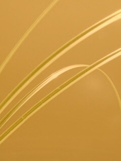 Четыре травинки обои