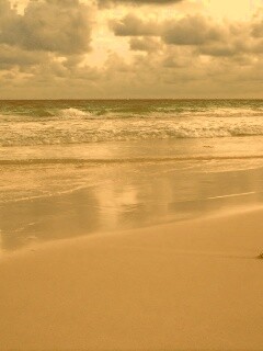 Тропический берег обои