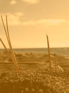 Солома на океанском берегу обои