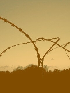 Колючая проволка обои