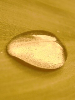 Прозрачная капля обои