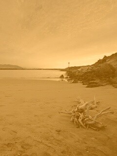 Коряга не берегу обои