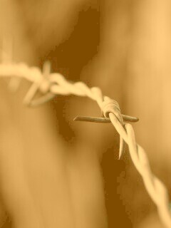 Колючая проволока обои