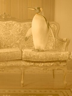 Соседи по дивану обои