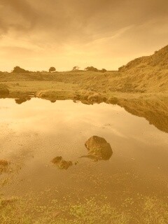 Затопленная долина в Новой Зеландии обои