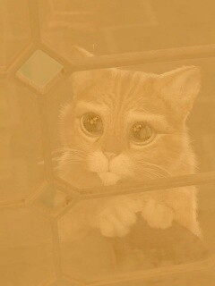 Кот в сапогах обои