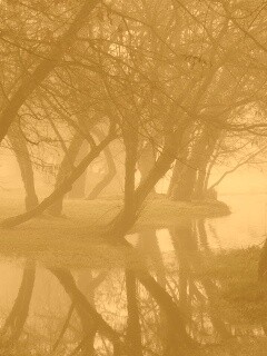 Затопленный парк обои