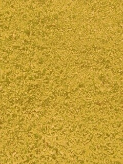 Чайные листья обои