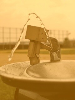 Дандо пьет в воду из фонтанчика обои