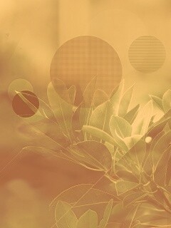 Синий фильтр с кргуами на фото листьев обои