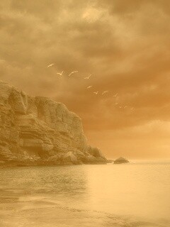 Чайки над скалами обои