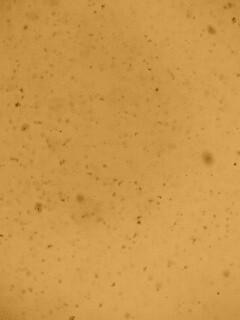 Черные пятна на сером фоне обои