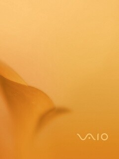 Цветок и логотип Vaio обои