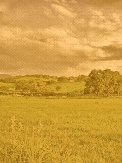 Домик на холмах обои