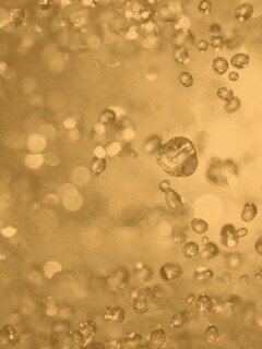 Водяные пузыри обои