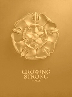 Металлический герб Тиреллов обои