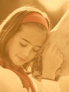 Девочка и лошадь обои