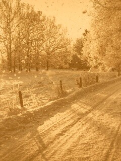 Снежная дорога залитая солнцем обои