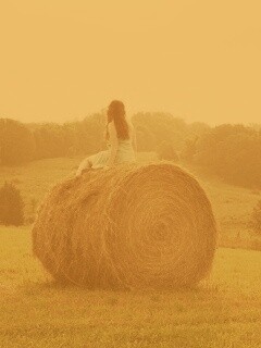 Девушка на снопе сена обои