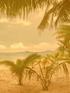 Настоящее лето обои