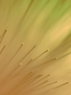 Световоды в рассеяном свете обои