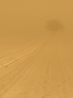 Заснеженное поле обои