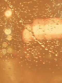 Дождь на стекле обои