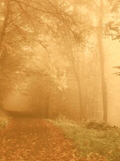 Осенний мистический пейзаж обои