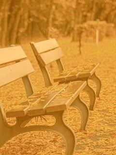 Лавочки в осеннем парке обои