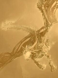 Ледяной дракон обои