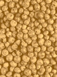 Черника обои