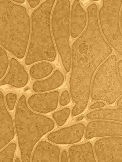 Абстрактные обои обои