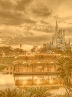 Диснеёленд вечером обои