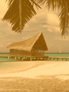 Бунгало обои