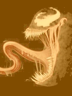 Канидж обои