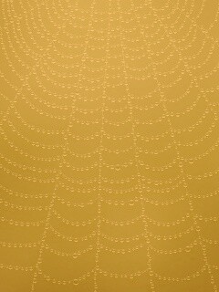 Роса на паутине обои