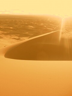 Солнечная пустыня обои