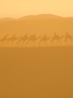 Караван обои