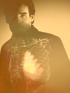 Слушая сердце Уилсона обои