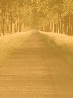 Живописная аллея обои