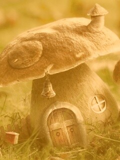 Грибы домики обои
