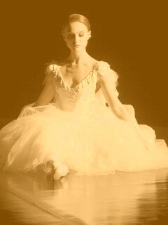 Черный лебедь обои