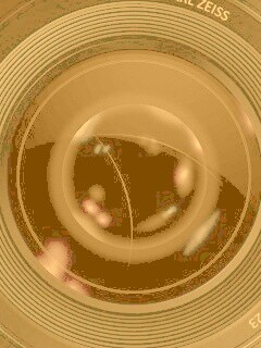 Объектив обои